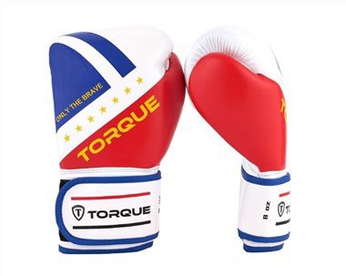MMA Kickboxhandschuhe für Kinder