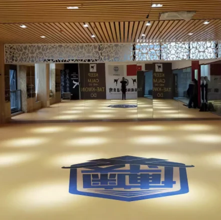 XPE-Matte für Boxen Jodo MMA